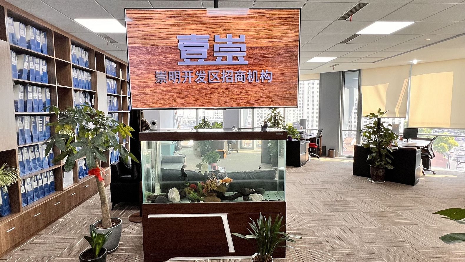 崇明集团公司注册母子公司关系证明